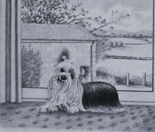 Original image yorhire for sale  NORWICH