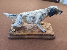 Setter ferma cane usato  Campogalliano