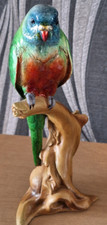 parrots for sale parrots for sale HULL