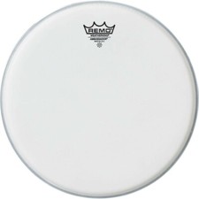 Remo ambassador coated usato  Rocca d'Evandro