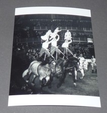 Photo 15x11 cirque d'occasion Photo 15x11 cirque d'occasion  Vendat