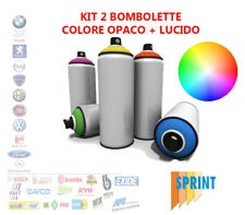 Kit bomboletta spray usato  Barrafranca