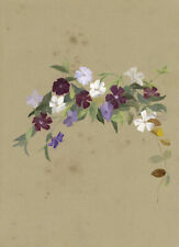 M.A. Catto, Periwinkle Blumen - Original 1885 Gouache -Gemälde, usado comprar usado  Enviando para Brazil