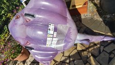 Intex gonfiabile cavalcabile usato  Fiumefreddo di Sicilia