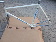 Bici corsa benotto usato  Modica