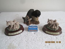 Leonardo pigs litter for sale  POOLE