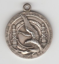 GUERRA ITALO AUSTRIACA MEDAGLIA 13° RAGGRUPPAMENTO (MM.26), usado comprar usado  Enviando para Brazil