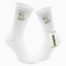 Calze unisex maltipoo usato  Spedire a Italy