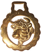 Horse brass médaillon d'occasion  Mer