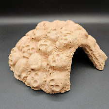 Hideout skull cave for sale  Vincentown