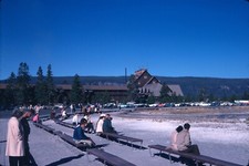 1969 old faithful for sale  Hiram