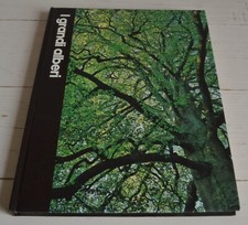 Grandi alberi grande usato  Zermeghedo