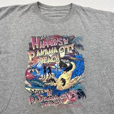 Panama beach spring for sale  Nanticoke