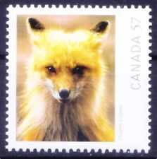 Canadá 2010 MNH, Raposa Vermelha, Fotografia de Vida Selvagem do Ano comprar usado  Enviando para Brazil