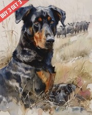 Stampa acquerello beauceron usato  Spedire a Italy