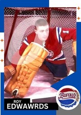 Ahl buffalo bisons d'occasion  Expédié en Belgium