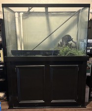 150 gallon aquarium for sale  Bryan