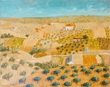 Gallerati alberto olio usato  Casalecchio di Reno