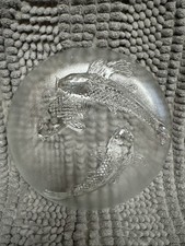 Koi fish swimming for sale  Dawson