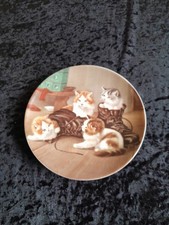 Sammelteller katzen seltmann gebraucht kaufen  Dortmund