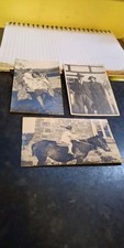 Old welsh black for sale  WELSHPOOL