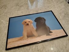 Quadro fotografia cuccioli usato  Salsomaggiore Terme