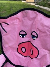 Folding pig camping for sale  LINGFIELD