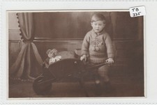 Teddy bear young for sale  WELLS