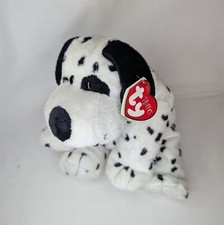 Pluffies dotters dalmatian for sale  KIRKNEWTON