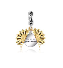 Charm anhänger silber gebraucht kaufen  Wilhelmshaven