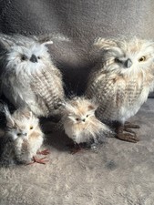 animals fake for sale animals fake for sale Gooding