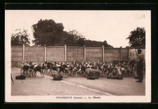 Old postcard combreux d'occasion  Expédié en Belgium