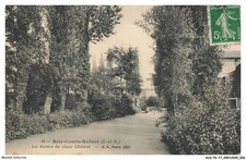 AUSP6-0459-77 - BRIE-COMTE-ROBERT - Le Rovine Del Vechio Castello comprar usado  Enviando para Brazil