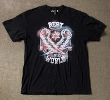 Punk best wwe for sale  HORNCASTLE