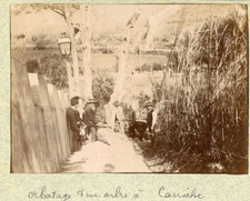 Portugal lisbonne abattage d'occasion  Pagny-sur-Moselle