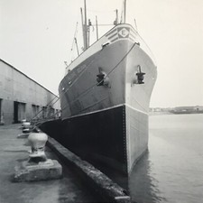 Hellenic dolphin ship for sale  Roanoke