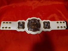 Rare wwe mini for sale  Waldwick
