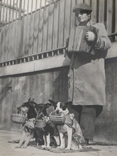 manteaux chiens d'occasion  Expédié en Belgium
