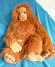 Gorgeous large orangutan for sale  BROMLEY