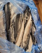 Frozen 10kg mackerel for sale  PRESTON