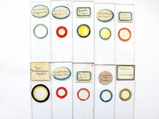 Antique microscope slides. for sale  LEDBURY