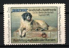 Reklamemarke berlin hektor gebraucht kaufen  Berlin