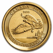 Canada 2020 bald usato  Spedire a Italy