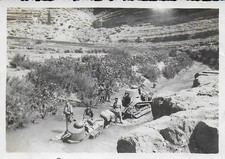 62e bataillon chars d'occasion 62e bataillon chars d'occasion  France