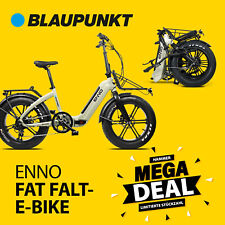 Blaupunkt enno zoll gebraucht kaufen  Hameln
