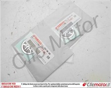 Coppia loghi serbatoio usato  Italia