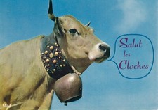 Postcard 10x15cm humorous d'occasion  Expédié en Belgium