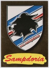 maglia calcio sampdoria flachi usato maglia calcio sampdoria flachi usato Fiorenzuola d'Arda