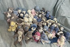Blue nose friends for sale  WHITSTABLE