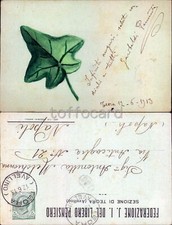 Avellino provincia teora usato  Italia